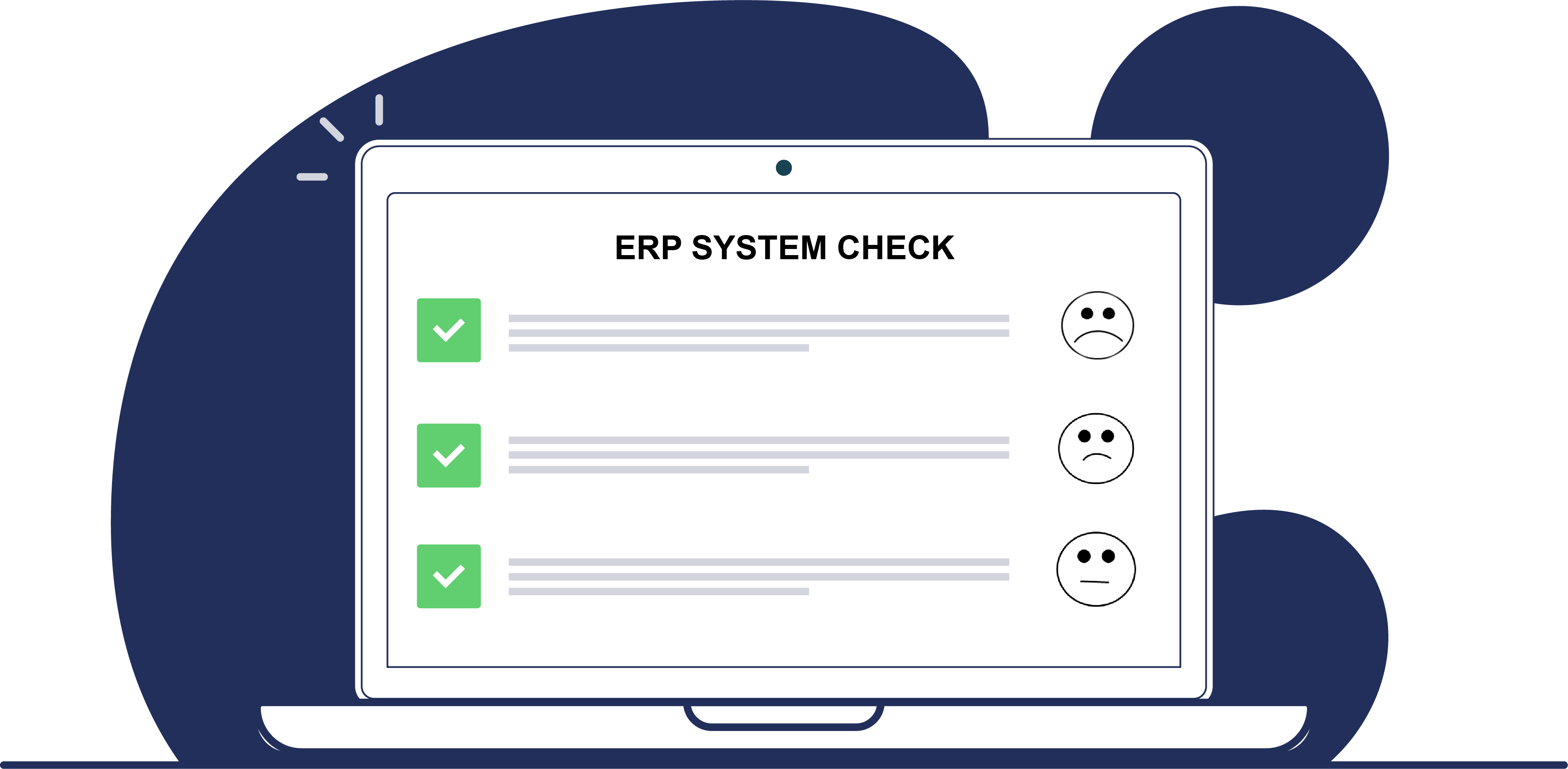 ERP system check